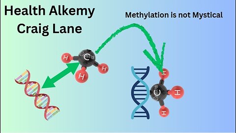 Craig Lane Health Alkemy - MTHFR and Methylation DeMystified
