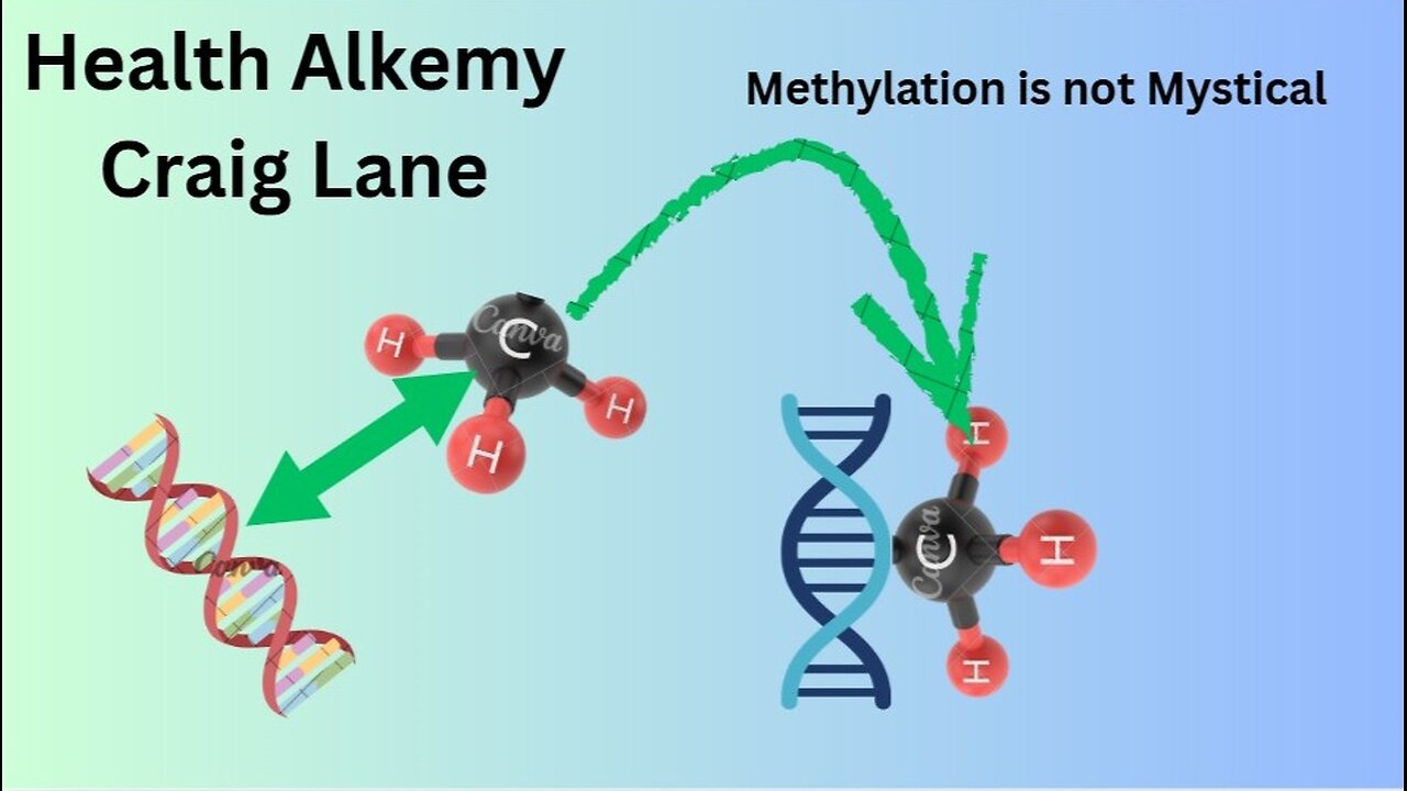Craig Lane Health Alkemy - MTHFR and Methylation DeMystified