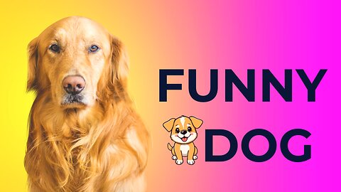 😂 Funniest Dog Moments Ever! | Try Not to Laugh Challenge 🐶🤣