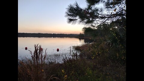 Once Upon a December