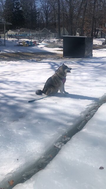 Monday March 10, The Lord will provide