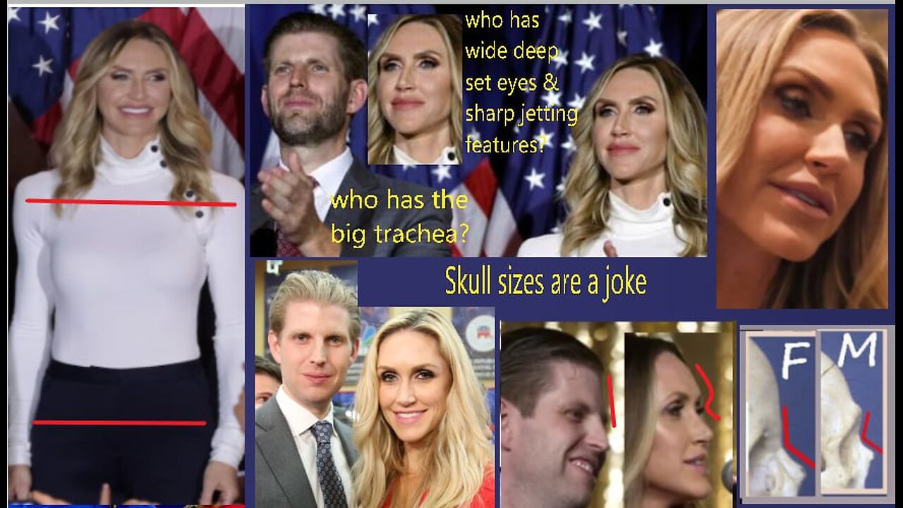 TRANNIES CANNOT BE TRUSTED IN GOVERNMENT