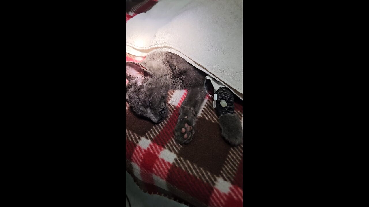 Help us to care for them