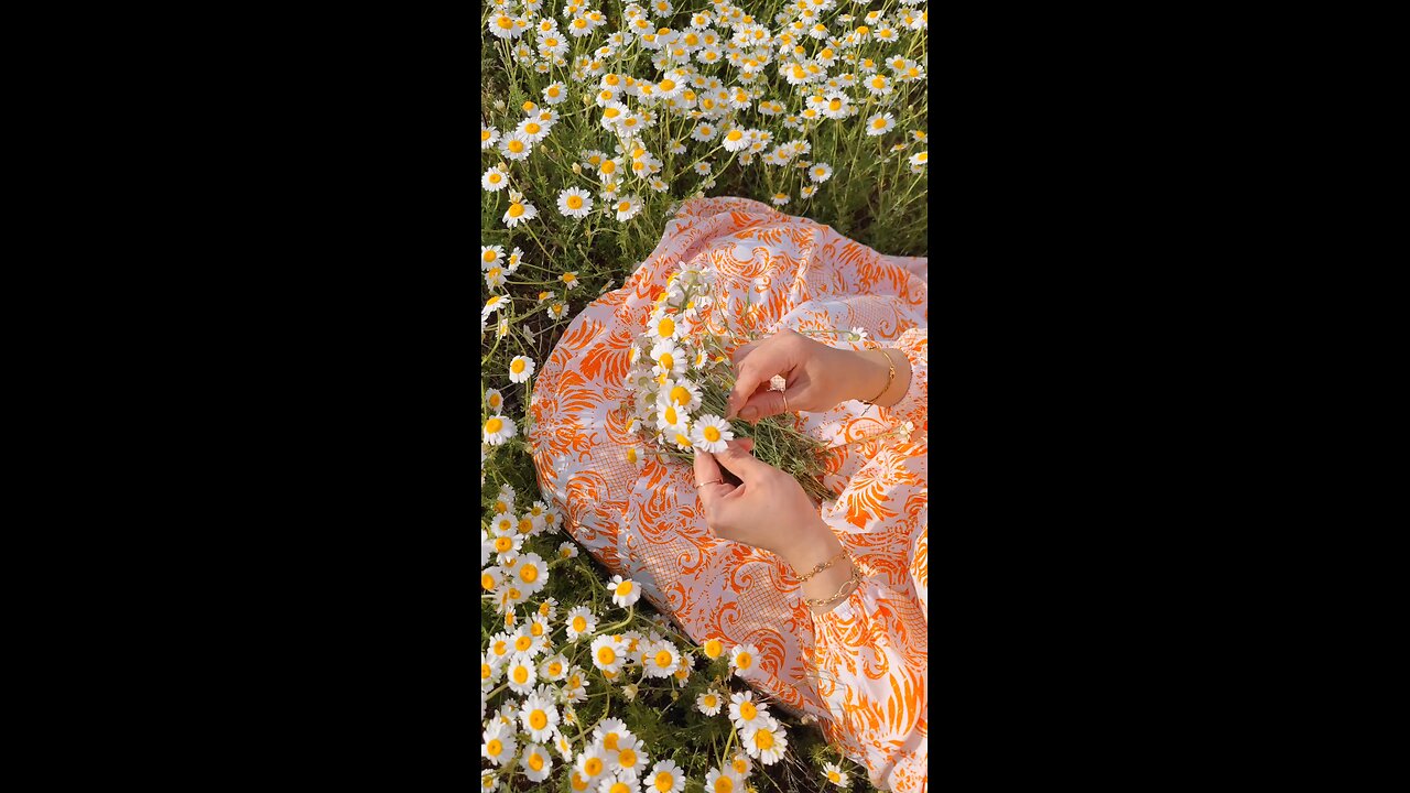 🫶🤍🌸