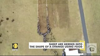 Hooray For Hollywood - The Whole World's A Stage