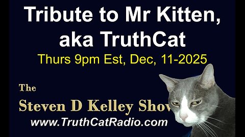 TCR#1153 STEVEN D KELLEY #465 DEC-11-2025 Tribute to Mr. Kitten, aka TruthCat