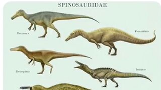 God loves U more than Dinosaurs