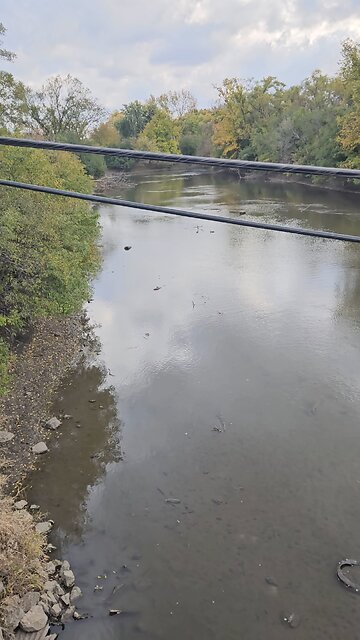 A Couple Ducks on Salt Creek
