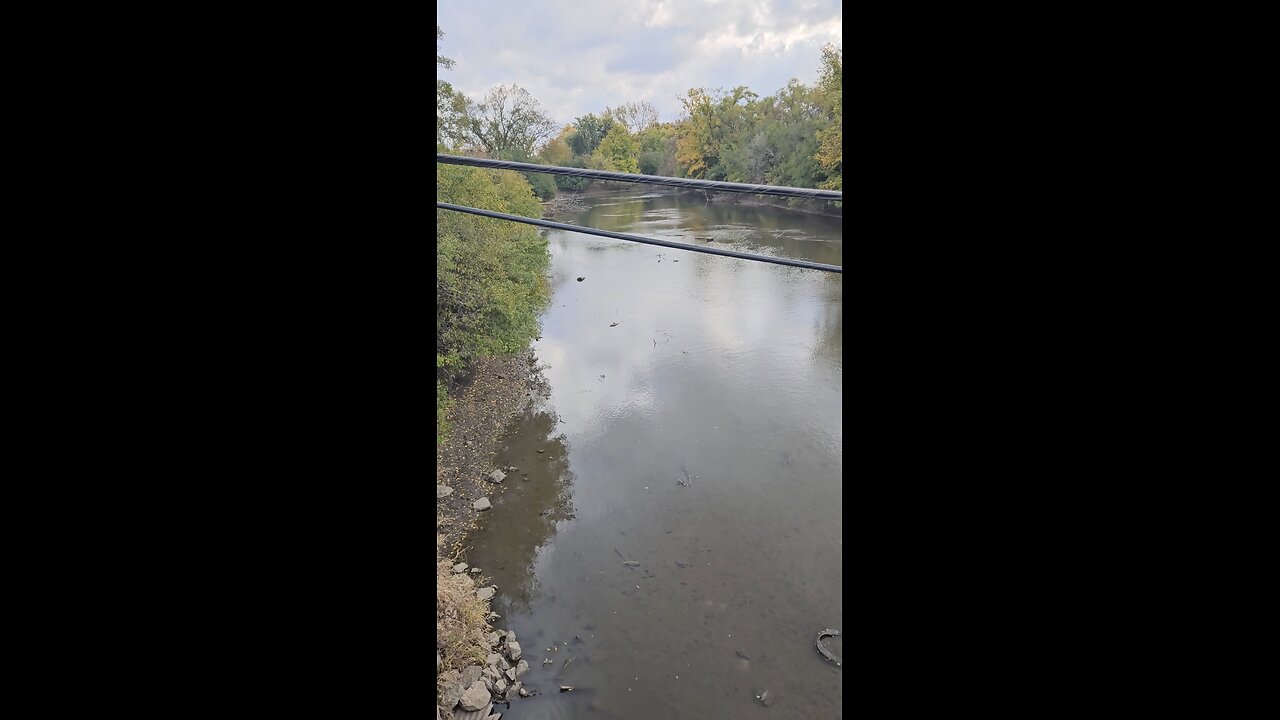 A Couple Ducks on Salt Creek
