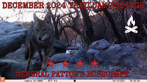 DECEMBER 2024 TRAILCAM FOOTAGE