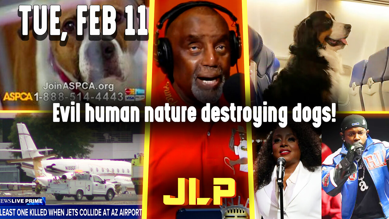 Evil human nature destroying dogs! | JLP Tue 2-11-25