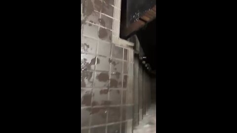 Law student on a visa caught grooming a 14 year old