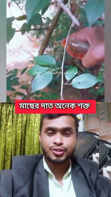 মাছের দাঁত অনেক শক্ত #reels #video #viral #funny #amazing #fish