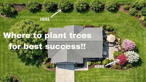 Where to plant trees for best success!!
