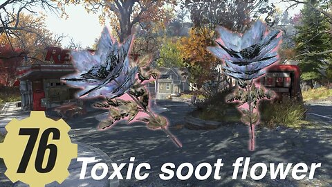 Fallout 76 toxic soot flower, flora, crafting item