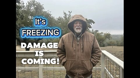 FREEZE ALERT! What’s Happening Right Now