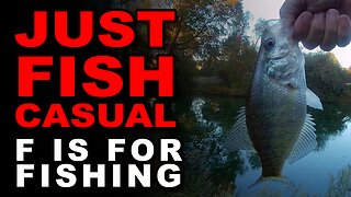 Just Fish Casual