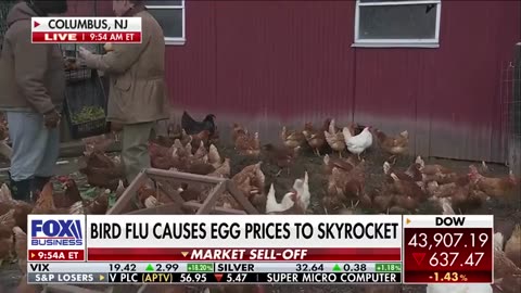 Bird Flu Crisis: A Repeat of the COVID Playbook?