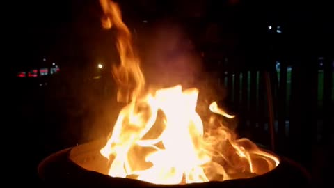 Daily Horoscope | Aries 🌟