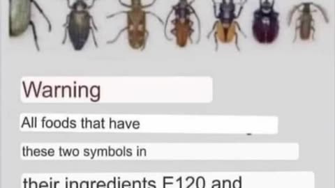 🐜 If you are feeding your kids anything conventional, there are two ingredients to look out for.