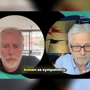 Your Body's Secret: Fight or Flight vs. Rest & Repair Explained!