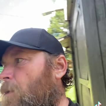 kittens with no mother