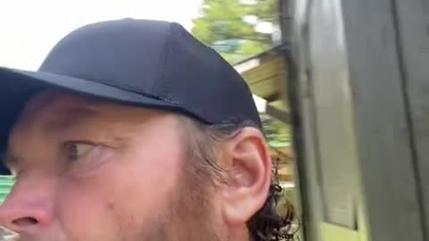 kittens with no mother