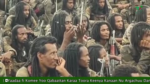 Gabaasa Tarkaanfii ONM-ABO Sadaasa 9-2025 itti dhiyaadhaa!