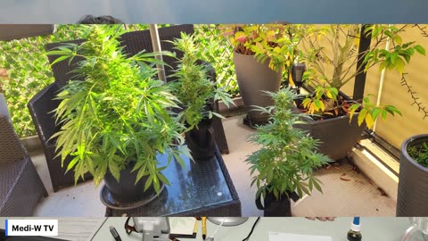 Parkinson patrient heeft ook veel aan Super CBD!