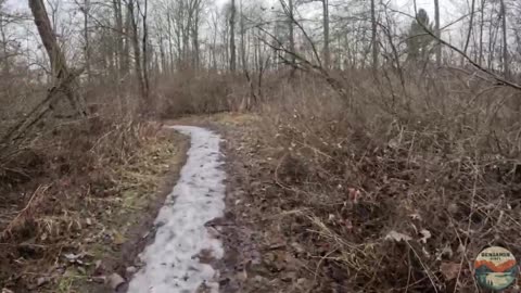ECOLOGY Lessons on the ROUGE RIVER | Hike POV, Nature ASMR