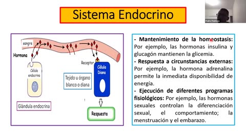 ADC SEMESTRAL PARALELO 2025 | Semana 08 | Biología
