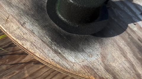 Making a Butternut Squash Gingerbread Couple, Christmas Countdown of Crafts Nature Edition Day 18