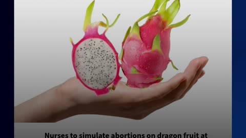 Nurses to simulate abortions on fruit at University of Illinois Chicago's 'Abortion Care Skills Day'