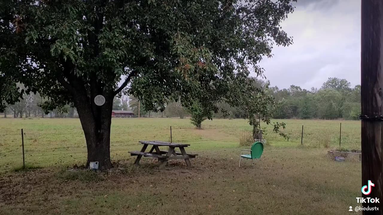 OkWX @OkmulgeeOK74447 Thunder rain returns. Okmulgee, Ok. 10-18-2025