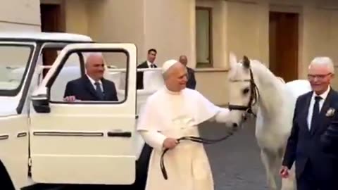 Pope Leo XIV was gifted a white horse named Proton.