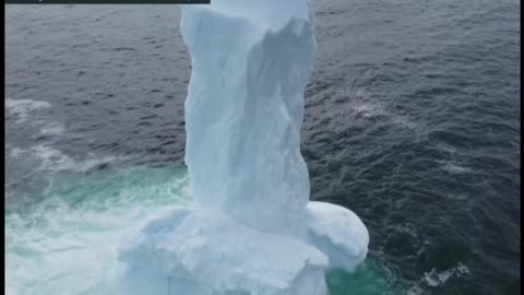 "Dickie-Berg" Spotted off Newfoundland Coast