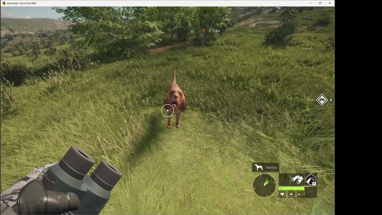 THE HUNTER CALL OF THE WILD