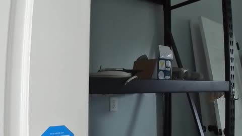 Too Many Keys🔑🤯, Not Enough Sense! Testing Out This Mess of Locks 🔒🏠