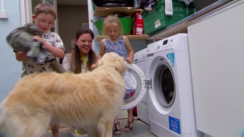 Mi Mascota y Yo - T02E04 - Perro de Asistencia