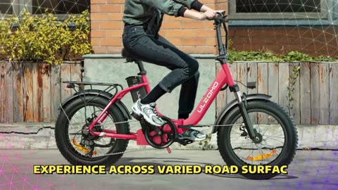 Ulzomo Dolphin Electric Bike 250W Motor 36V 13AH Battery 20 Inch Fat Tire Electric Bike