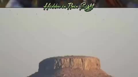 Przedpotopowe drzewa ukazane w filmie Avatar