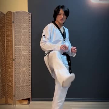 Taekwondo