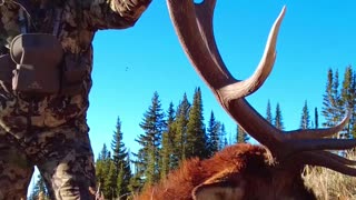 4 Elk Hunting Tips!
