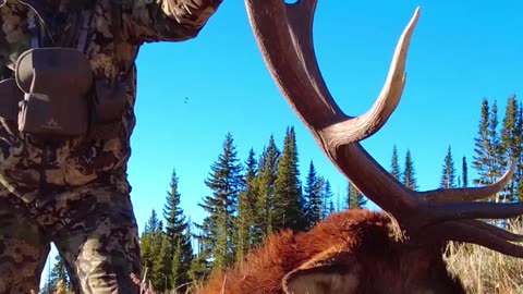 4 Elk Hunting Tips!
