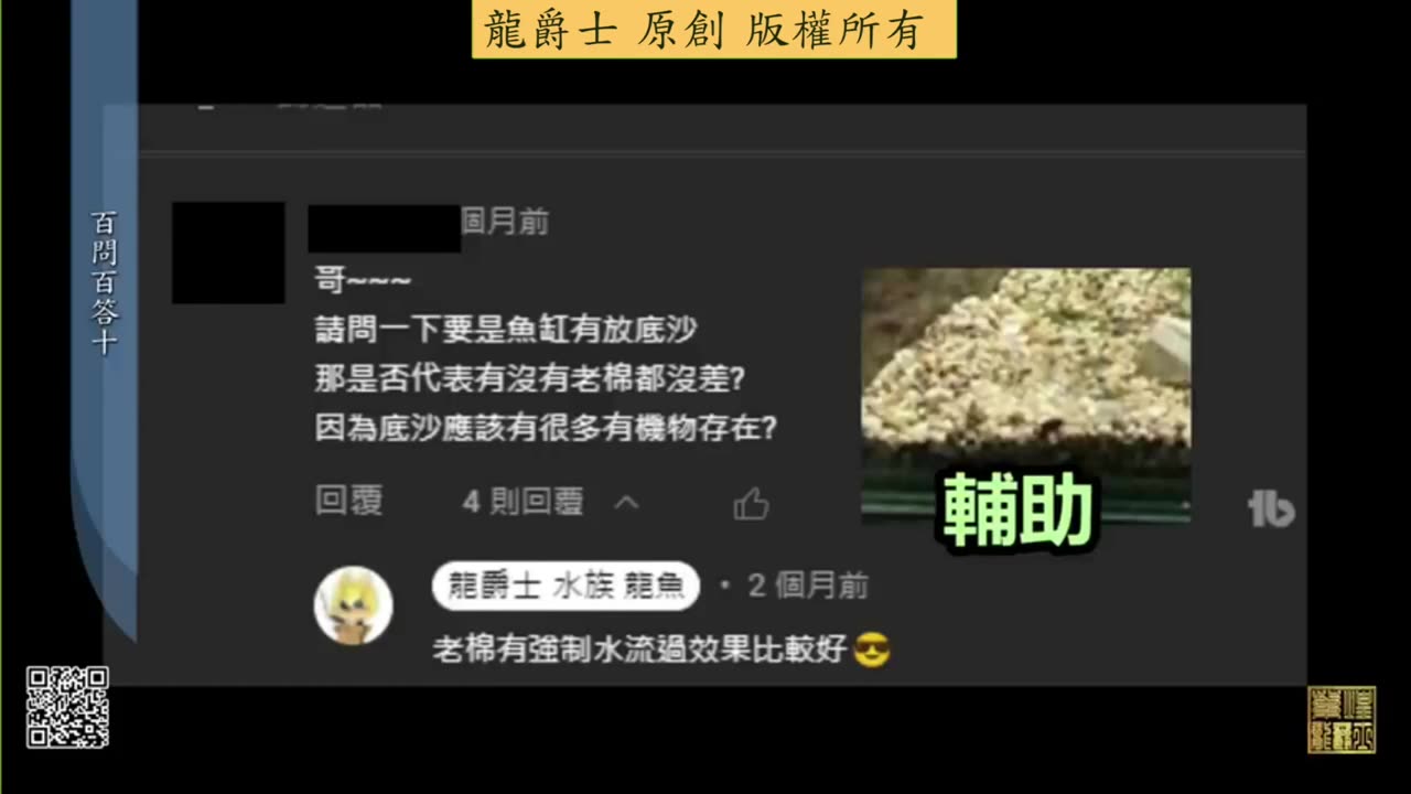 【龍爵士】千問千答 Q102 魚缸放底砂是否代表沒有老棉沒差