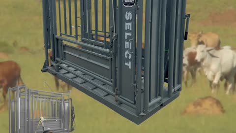 Pearson Squeeze Chute