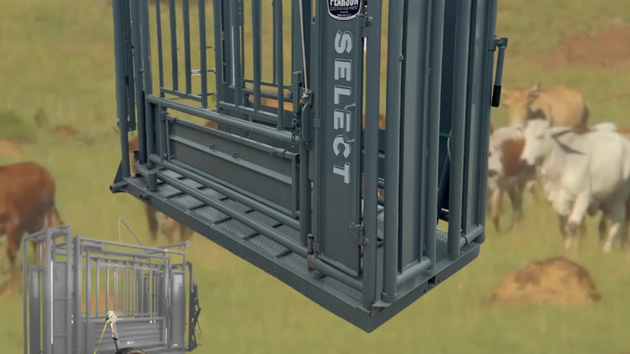 Pearson Squeeze Chute