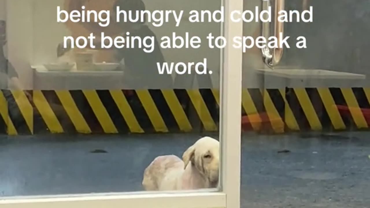 Life is so unfair! Hoping na may mag-adopt kay baby