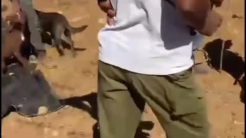 Settlers, accompanied by police dogs, attacked Palestinian families