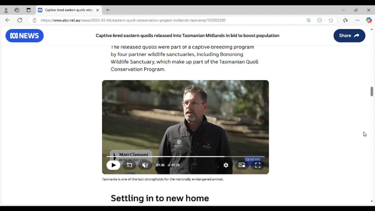 ABC uses Tasmanian quoll story to summon forces against Q team taking down Cabal in shadows